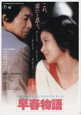 沙海回声 高清电影免费在线观看